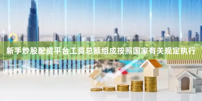 新手炒股配资平台工资总额组成按照国家有关规定执行