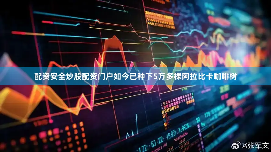 配资安全炒股配资门户如今已种下5万多棵阿拉比卡咖啡树